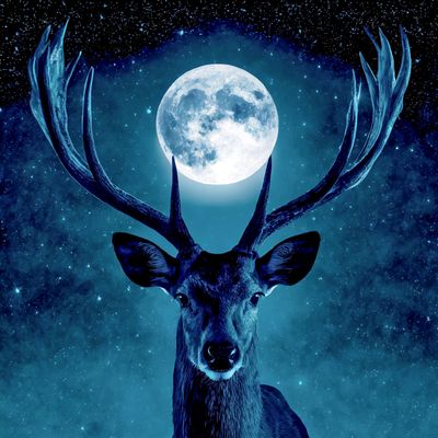 Diamond Painting "Hirsch" 80x80cm DS-79