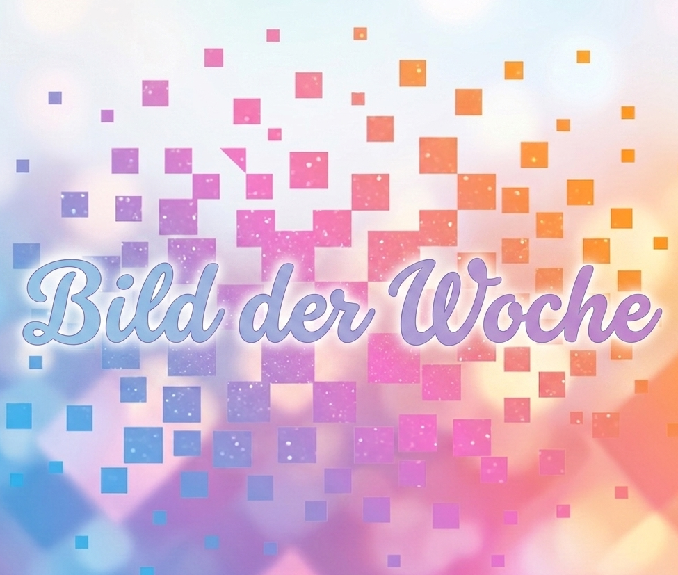 Bild der Woche